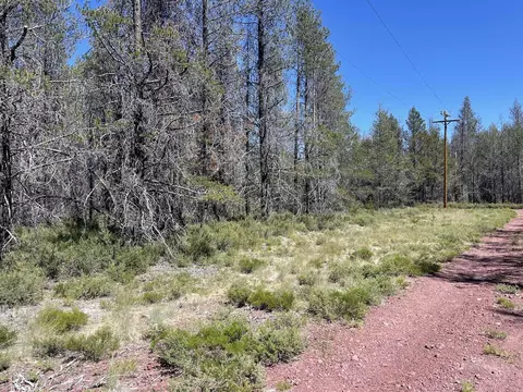Priday Loop Lot 16, Chiloquin, OR 97624 photo 8