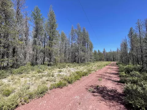 Priday Loop Lot 16, Chiloquin, OR 97624 photo 6
