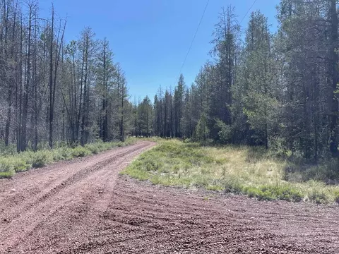 Priday Loop Lot 16, Chiloquin, OR 97624 photo 16