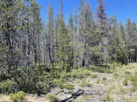 Priday Loop Lot 16, Chiloquin, OR 97624 photo 15