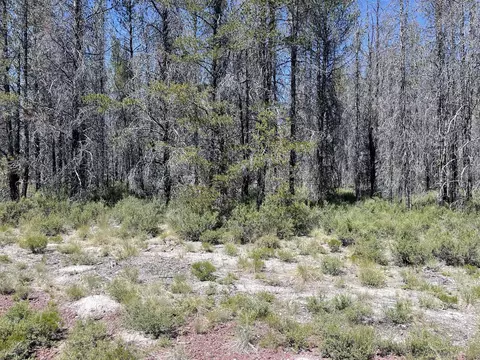 Priday Loop Lot 16, Chiloquin, OR 97624 photo 7