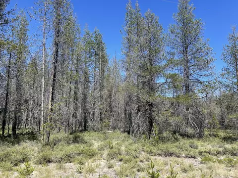 Priday Loop Lot 16, Chiloquin, OR 97624