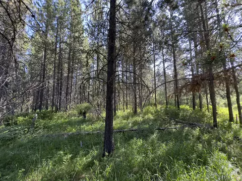 16320 Bear Lane Lot #LOT 3, Bend, OR 97707