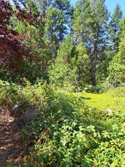 132 Draper Valley Rd, Selma, OR 97538