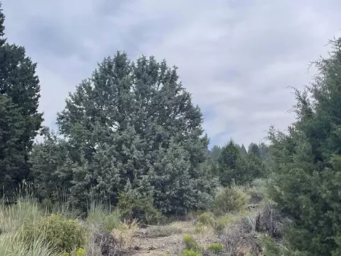 Clearwater Drive Lot 22, Sprague River, OR 97639