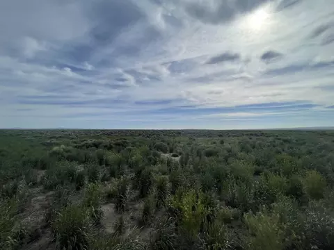 Oil Dri Road, Christmas Valley, OR 97641