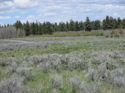 lot20 Conrad Dr, Chiloquin, OR 97624