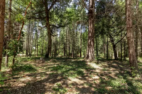 2475 Cedar Flat Rd, Williams, OR 97544 photo 38