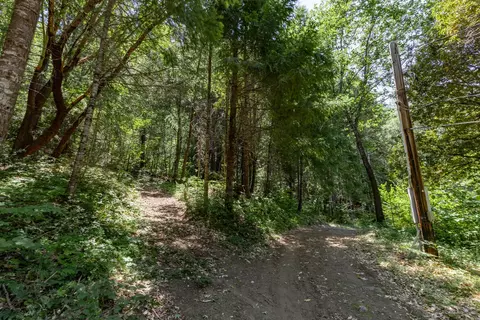 2475 Cedar Flat Rd, Williams, OR 97544 photo 56