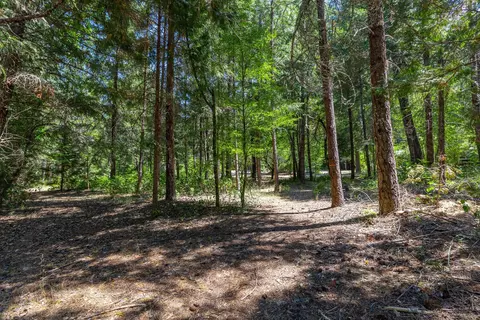 2475 Cedar Flat Rd, Williams, OR 97544 photo 53