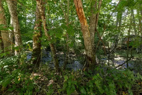 2475 Cedar Flat Rd, Williams, OR 97544 photo 48