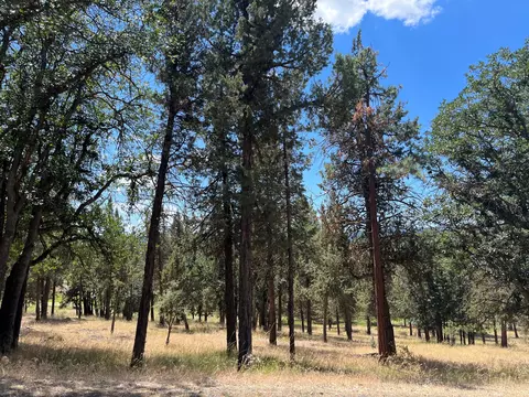 lot286 Coopers Hawk Rd, Klamath Falls, OR 97601