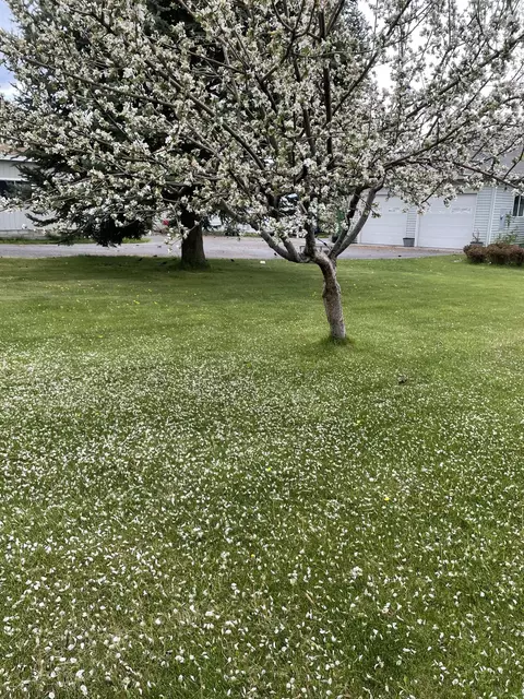 36060 Modoc Point Rd, Chiloquin, OR 97624 photo 11