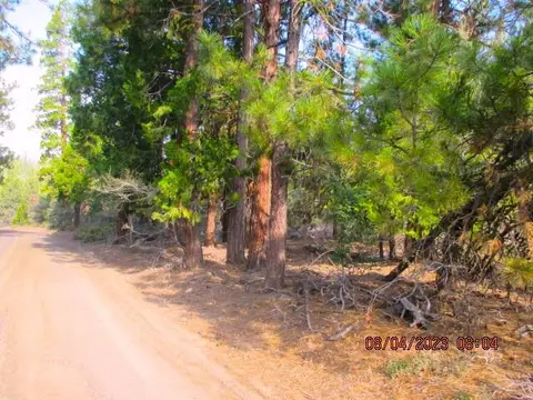 lot41 Porpoise Ln, Bonanza, OR 97623