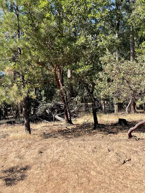 960 Long Branch Rd, Eagle Point, OR 97524 photo 1