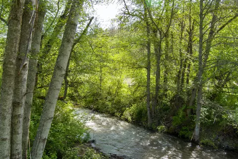 7696 Little Applegate Rd, Jacksonville, OR 97530