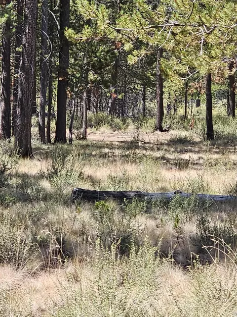 53019 Loop Dr, La Pine, OR 97739 photo 3