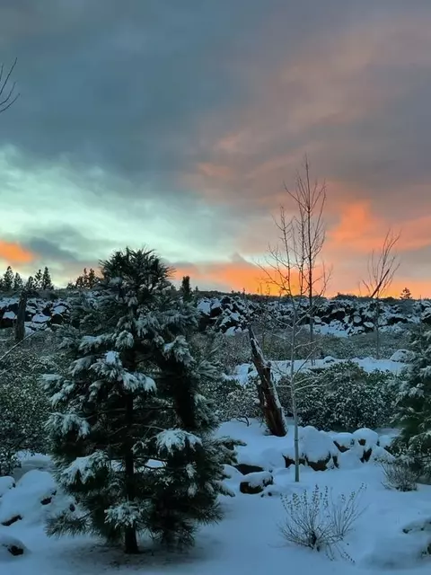 61384 Lost Hollow Loop, Bend, OR 97702 photo 31