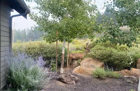61384 Lost Hollow Loop, Bend, OR 97702 photo 24