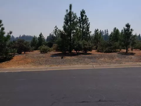 340 Cedar Ridge Dr, Cave Junction, OR 97523 photo 2