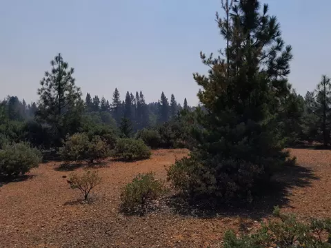 340 Cedar Ridge Dr, Cave Junction, OR 97523 photo 1