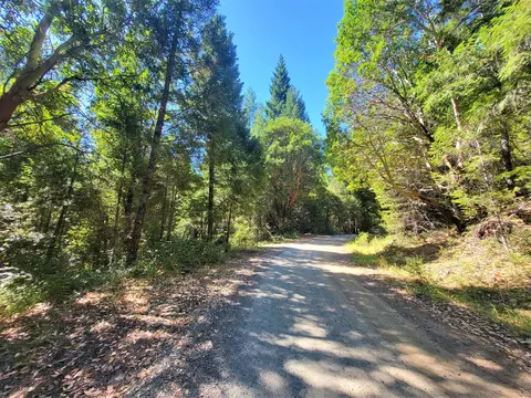 French Peak Road, Cave Junction, OR 97523
