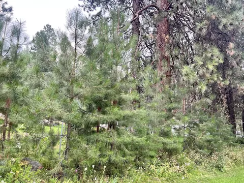 0 Chiloquin Dr, Chiloquin, OR 97624