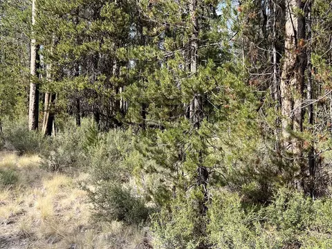 Cloudcap Drive Lot 7, Chiloquin, OR 97624 photo 15