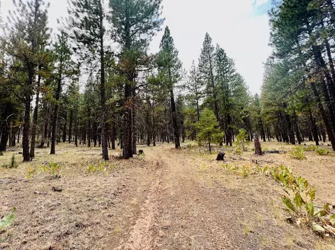 lot18 Old Fort Rd, Klamath Falls, OR 97601