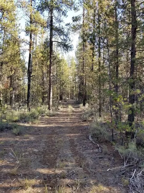 15725 Deedon Rd, La Pine, OR 97739 photo 11