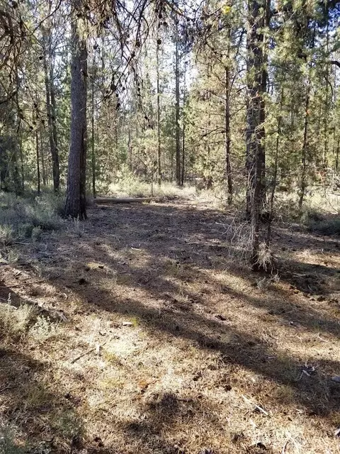 15725 Deedon Rd, La Pine, OR 97739 photo 5