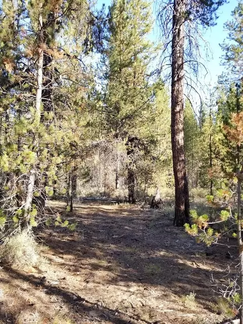 15725 Deedon Rd, La Pine, OR 97739 photo 4