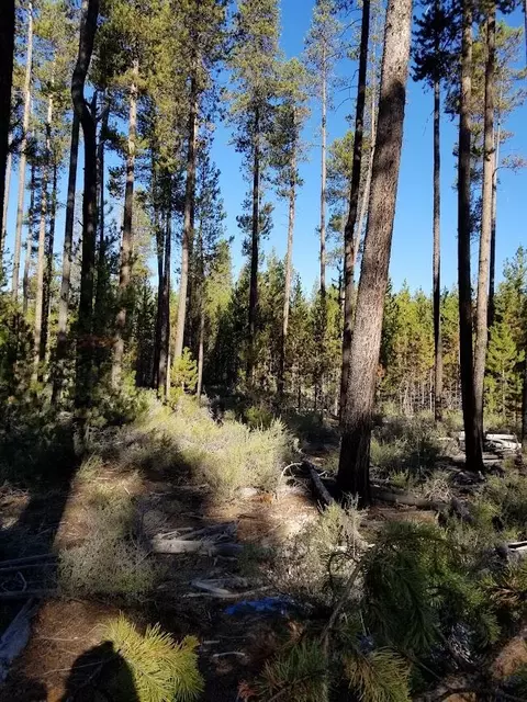 15725 Deedon Rd, La Pine, OR 97739 photo 18