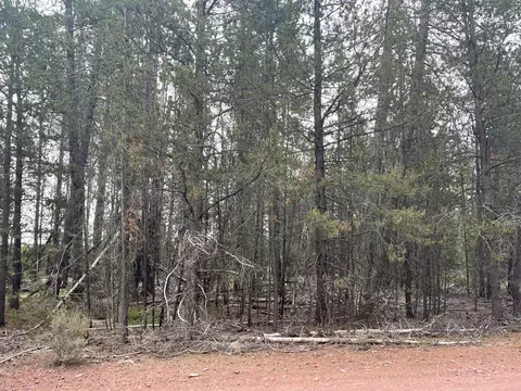 Cloudcap Drive Lot 15, Chiloquin, OR 97624 photo 2