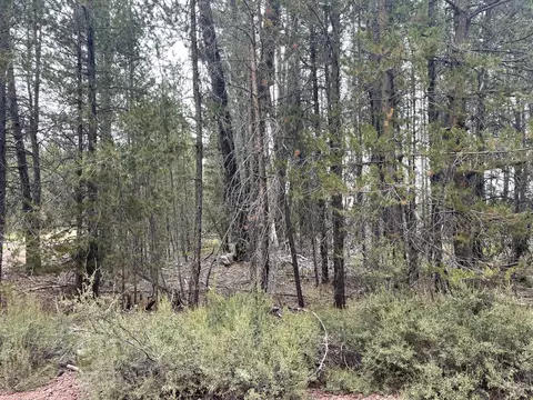Cloudcap Drive Lot 15, Chiloquin, OR 97624 photo 22