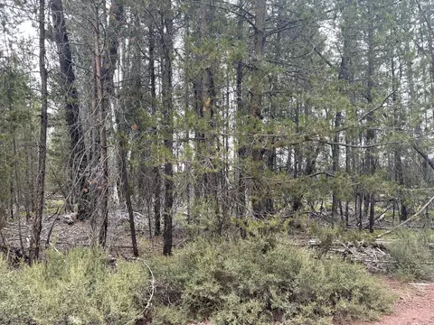 Cloudcap Drive Lot 15, Chiloquin, OR 97624 photo 21