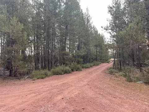 Cloudcap Drive Lot 15, Chiloquin, OR 97624 photo 15