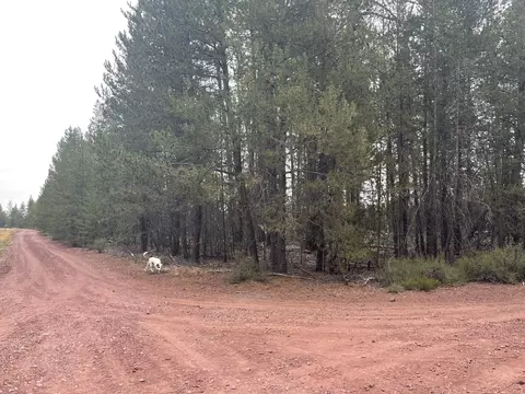 Cloudcap Drive Lot 15, Chiloquin, OR 97624 photo 17
