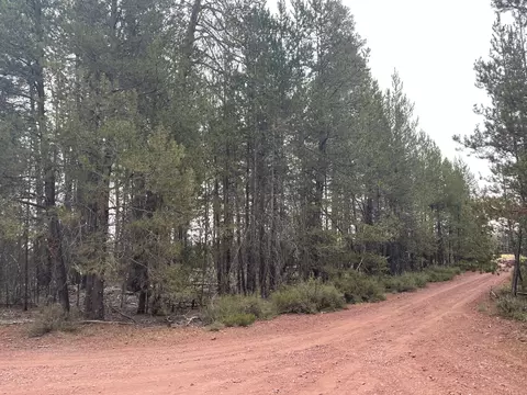 Cloudcap Drive Lot 15, Chiloquin, OR 97624 photo 16