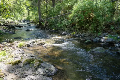 8966 Little Applegate Rd, Jacksonville, OR 97530