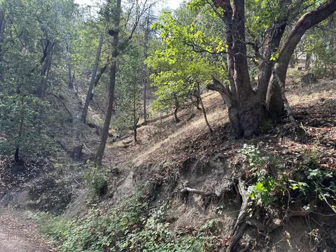 526 Waterline Rd, Ashland, OR 97520