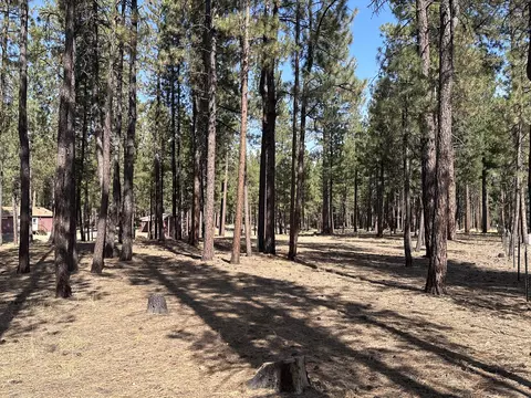15327 Bear St, La Pine, OR 97739 photo 2