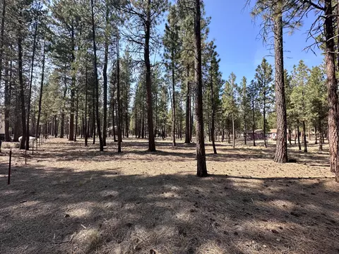 15327 Bear St, La Pine, OR 97739 photo 3