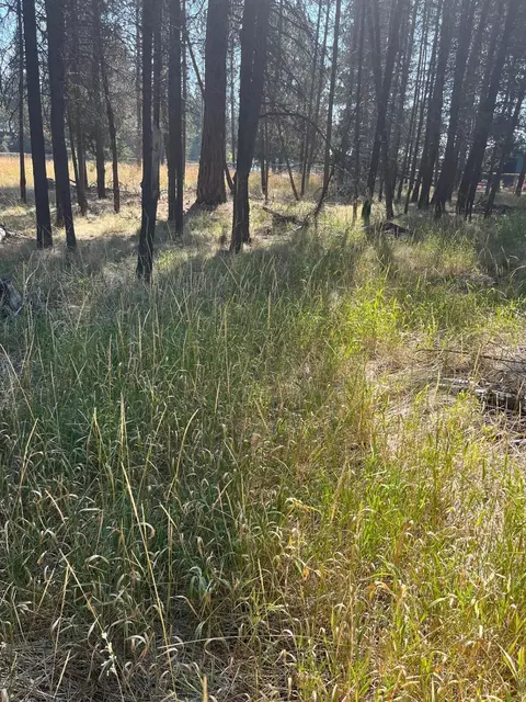 17123 Spring River Rd, Bend, OR 97707 photo 1