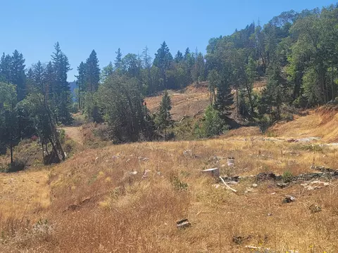 250 Leland Rd, Wolf Creek, OR 97497