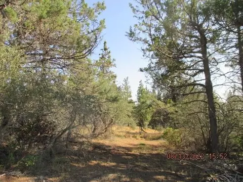 lot26 Porpoise Ln, Bonanza, OR 97623