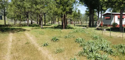 280 Turner Rd, Cave Junction, OR 97523 photo 13
