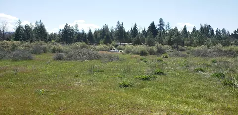 280 Turner Rd, Cave Junction, OR 97523 photo 38