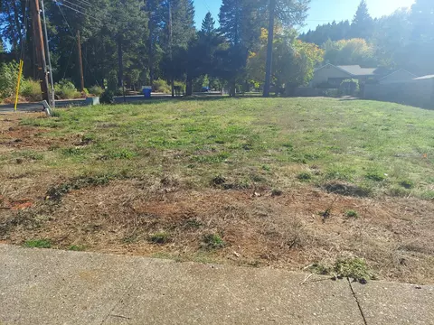389 Wells Dr, Cave Junction, OR 97523 photo 4
