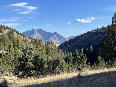 Cummings Creek Road, Mount Vernon, OR 97865